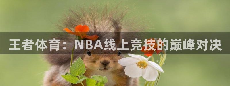 王者体育：NBA线上竞技的巅峰对决